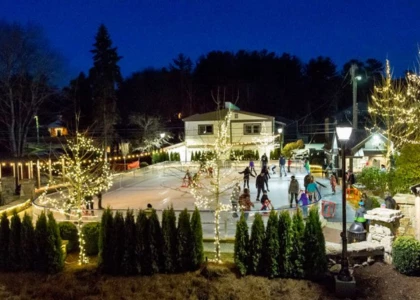 a group of people ice skating