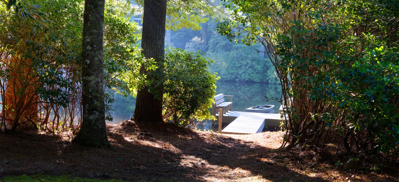 a dock with trees and a boat in the water
