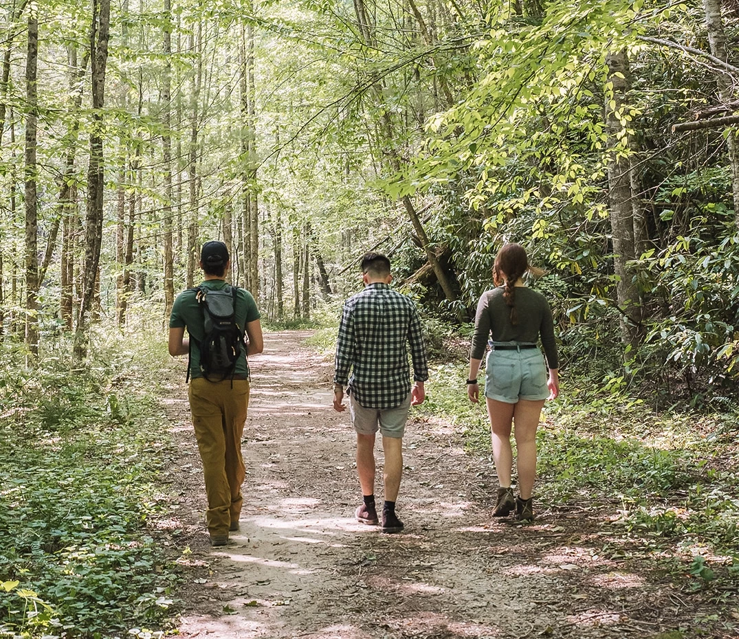 a group of people walking on a path in the woods