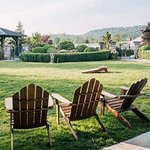 a group of chairs in a grassy area