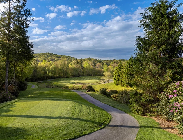 a golf course with a path and trees