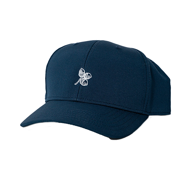 a blue hat with a clover on it