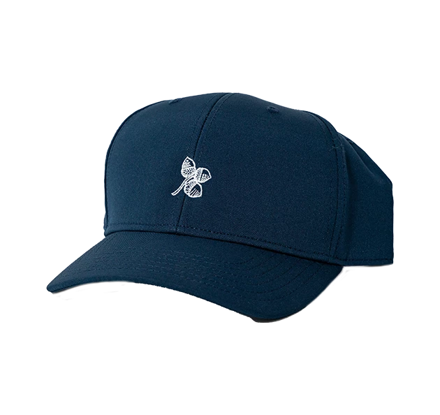 a blue hat with a clover on it
