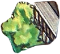 a green plant on a black background