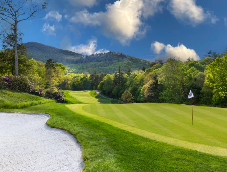 a golf course with a flag on the ground