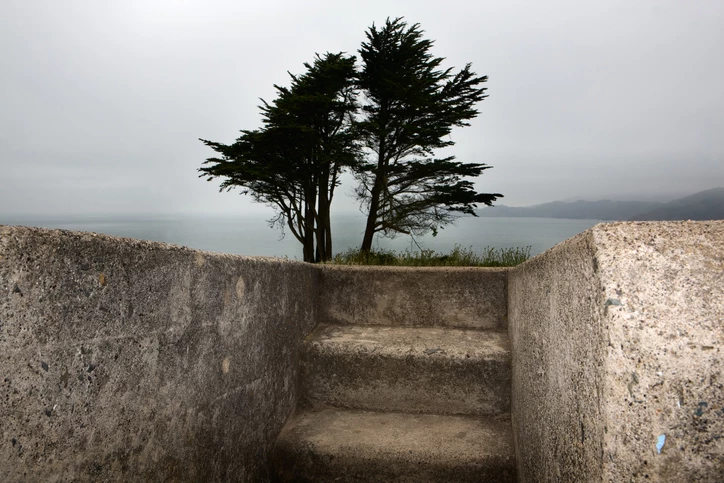 presidio san francisco fog
