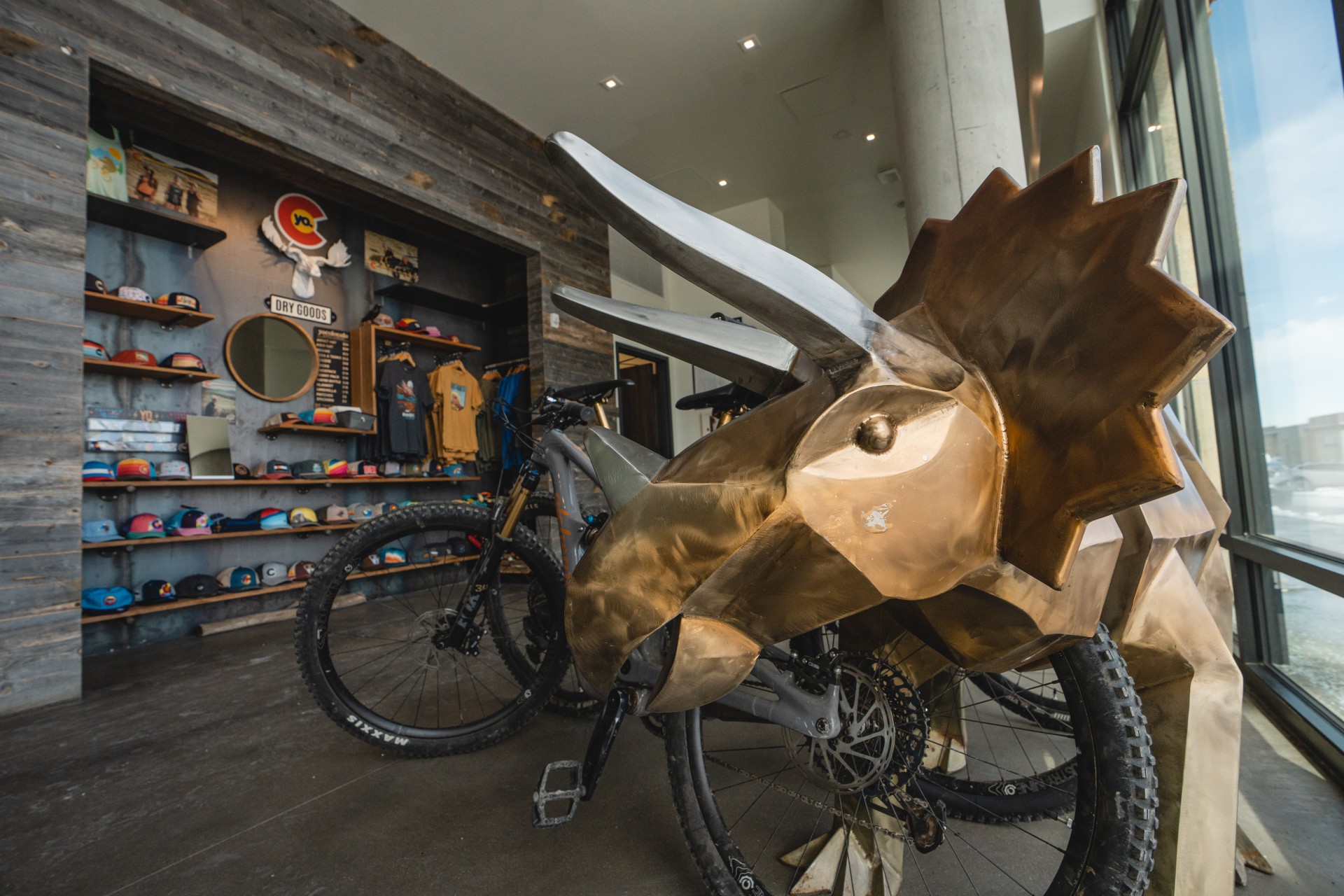 a bicycle in a store