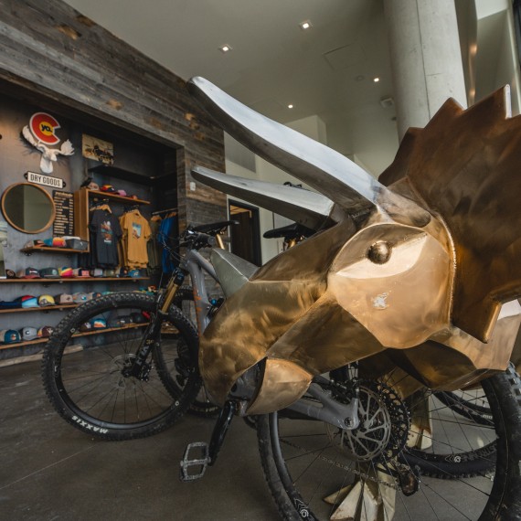a bicycle in a store