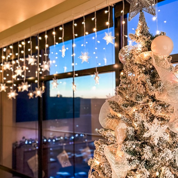 a christmas tree with lights and stars from a window