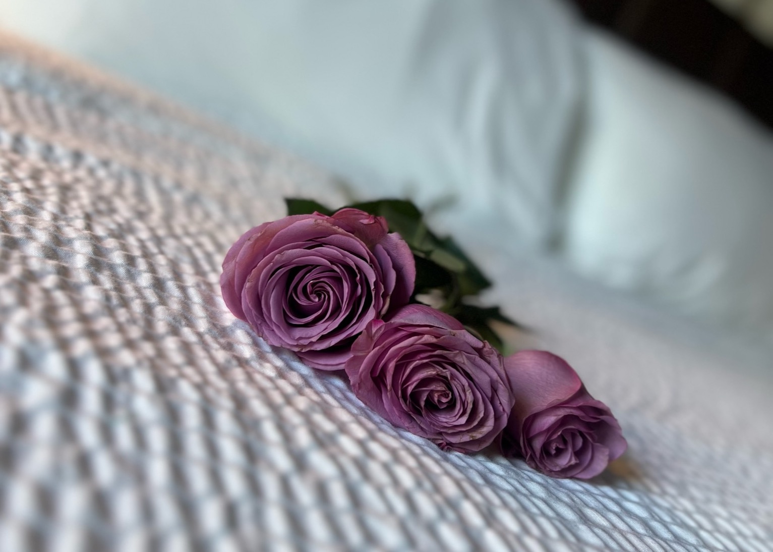 a group of roses under the bed