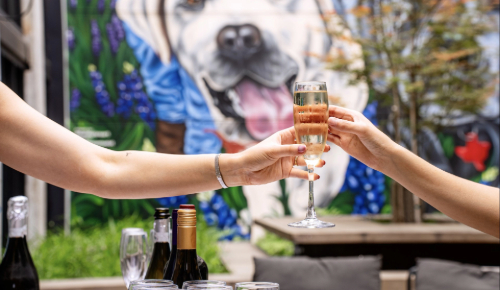 a person holding a glass of wine