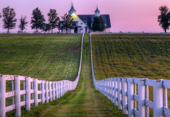 a path leading to a house