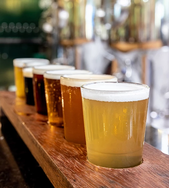 a row of glasses of beer