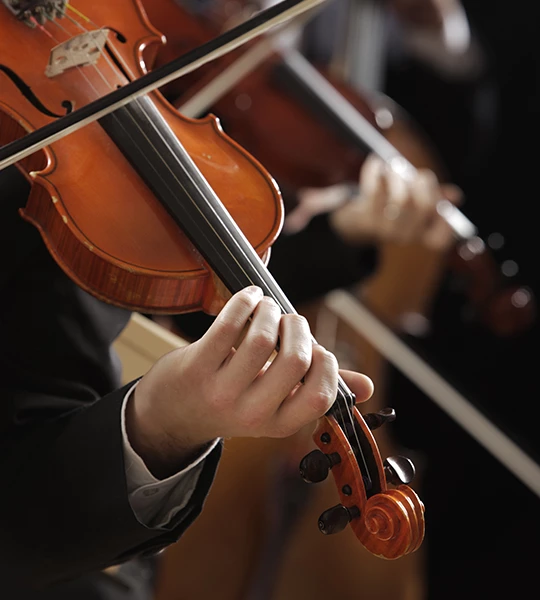 a person playing a violin