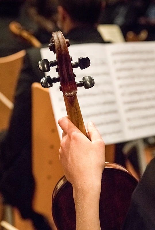 a person holding a violin