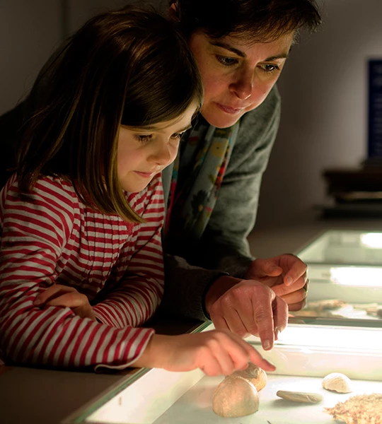 a woman and a girl looking at a display