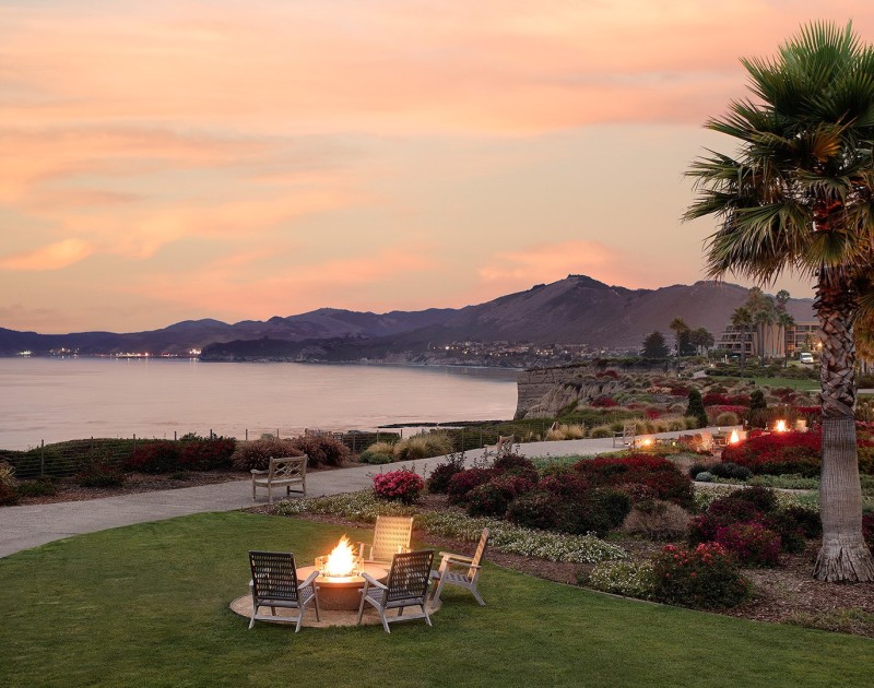 a fire pit in a grassy area with a palm tree and a beach and mountains in the background