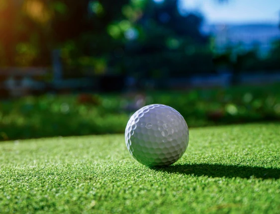 a golf ball on the grass