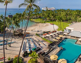 aerial view of the pool and the beach with tall palms