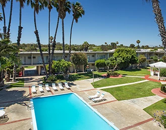 aerial view of the swimming pool with palms in the back on a sunny day