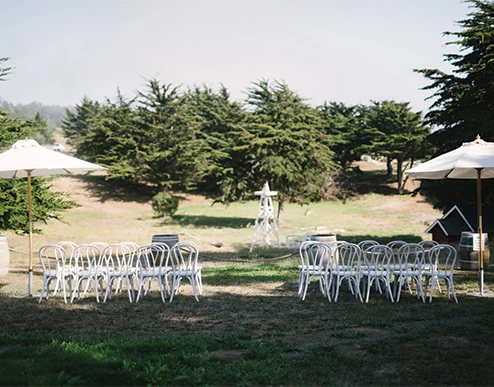 a group of white chairs in a grassy area with trees in the background