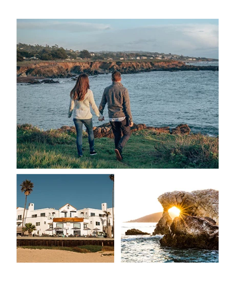 collage of 3 images