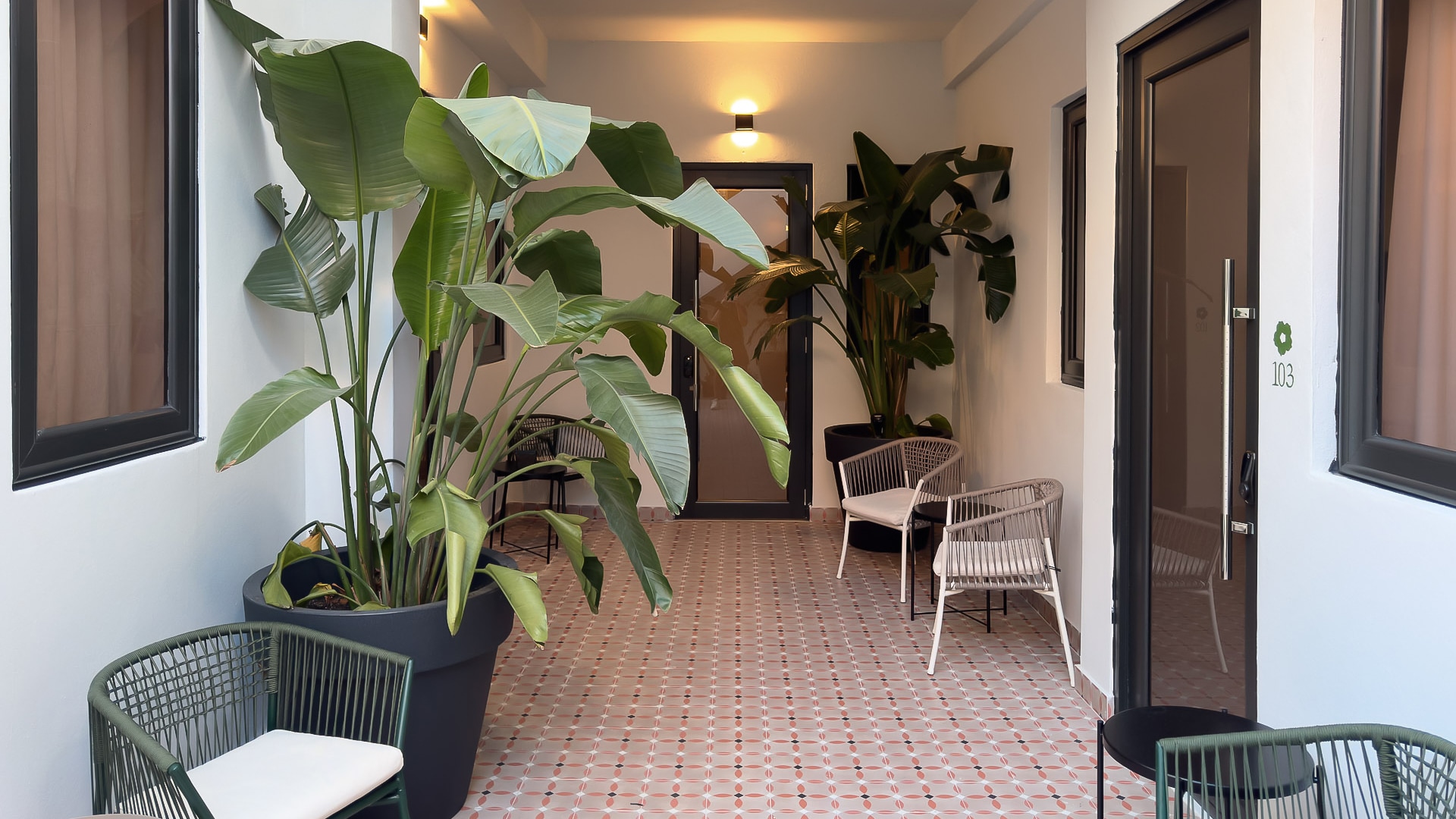 a room with chairs and plants