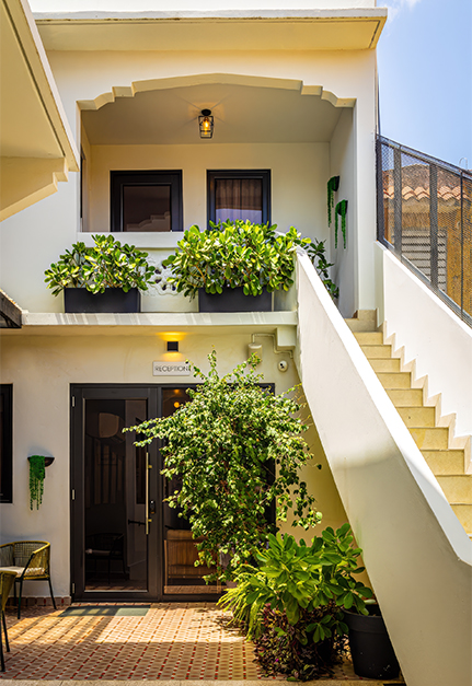 a building with stairs and plants