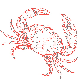 a red crab with claws