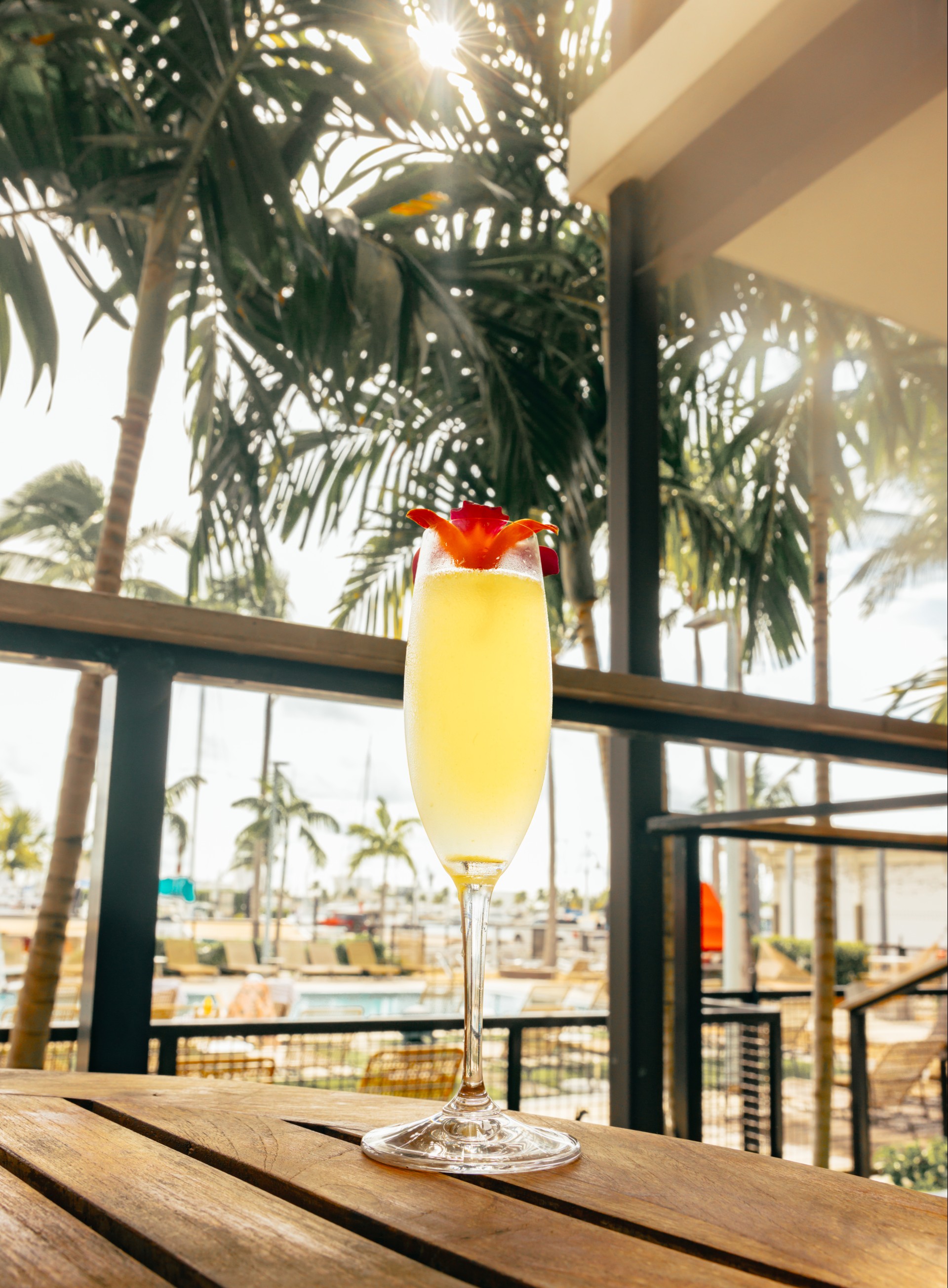 a glass of yellow liquid with a flower on top of it