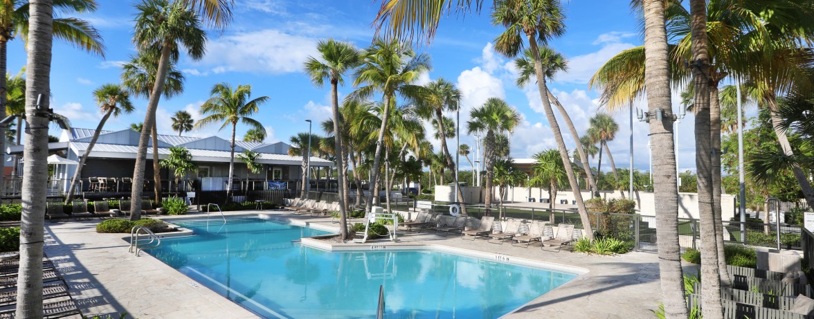 a pool with palm trees and buildings