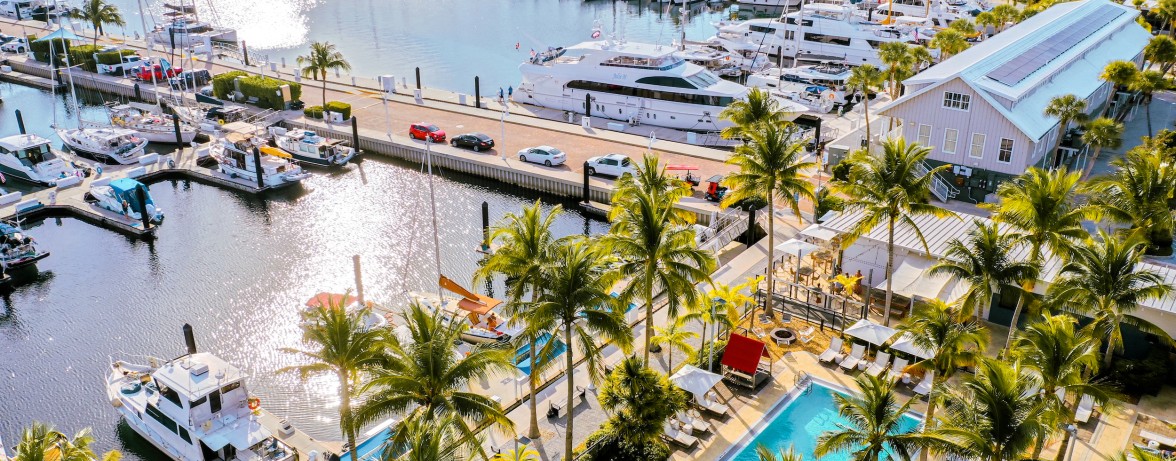 a marina with palm trees and boats