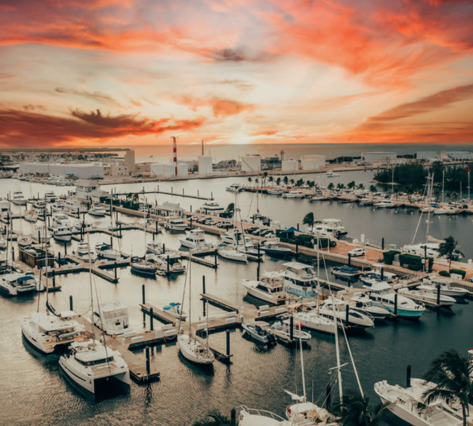 a marina with many boats and a sunset