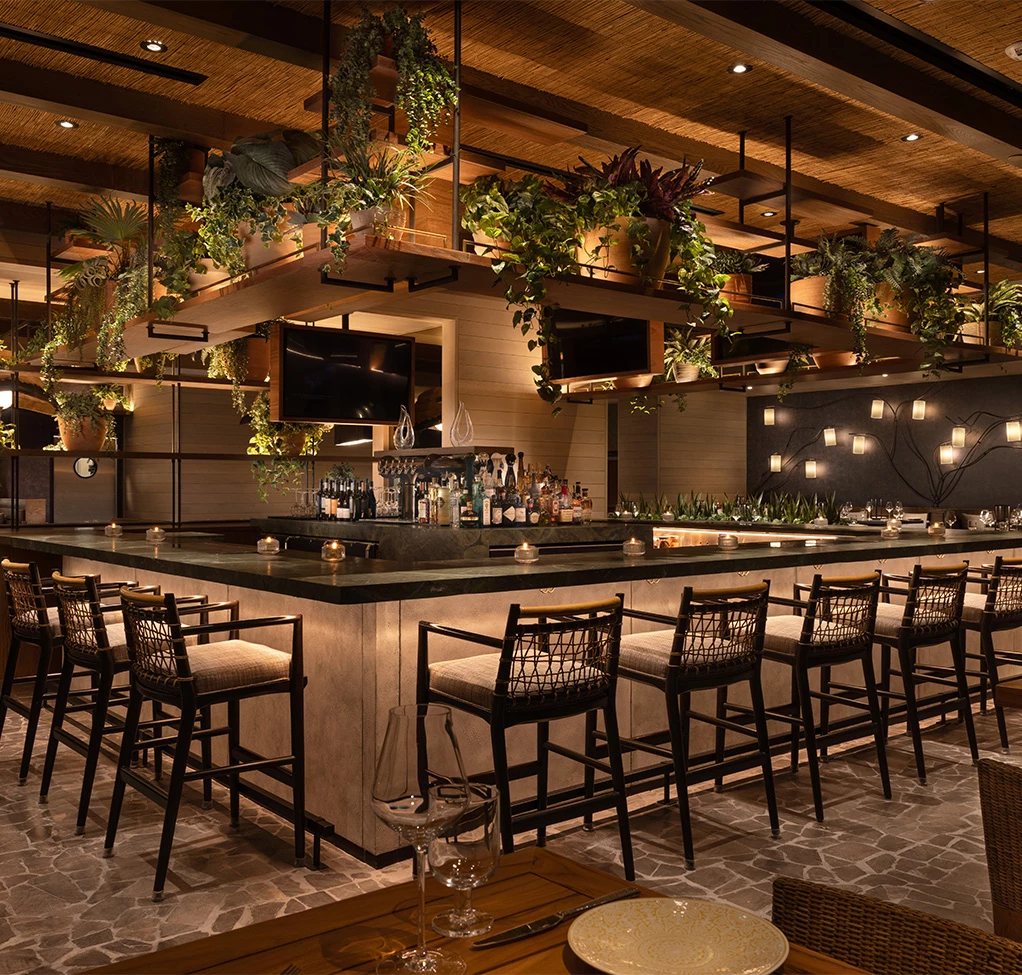 a bar with chairs and a bar with plants from the ceiling