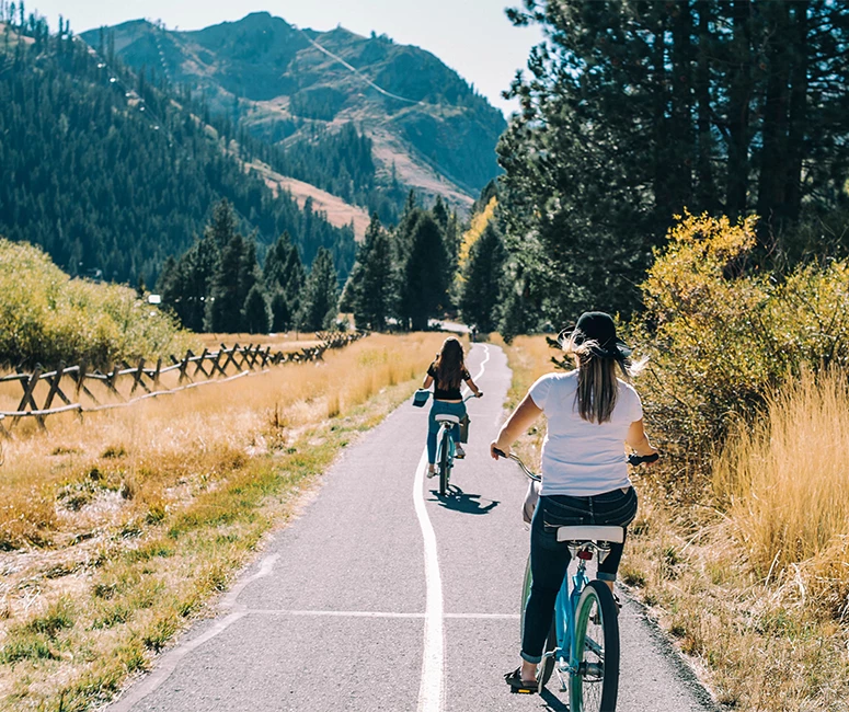 a group of people riding bicycles on a road with trees and mountains in the background