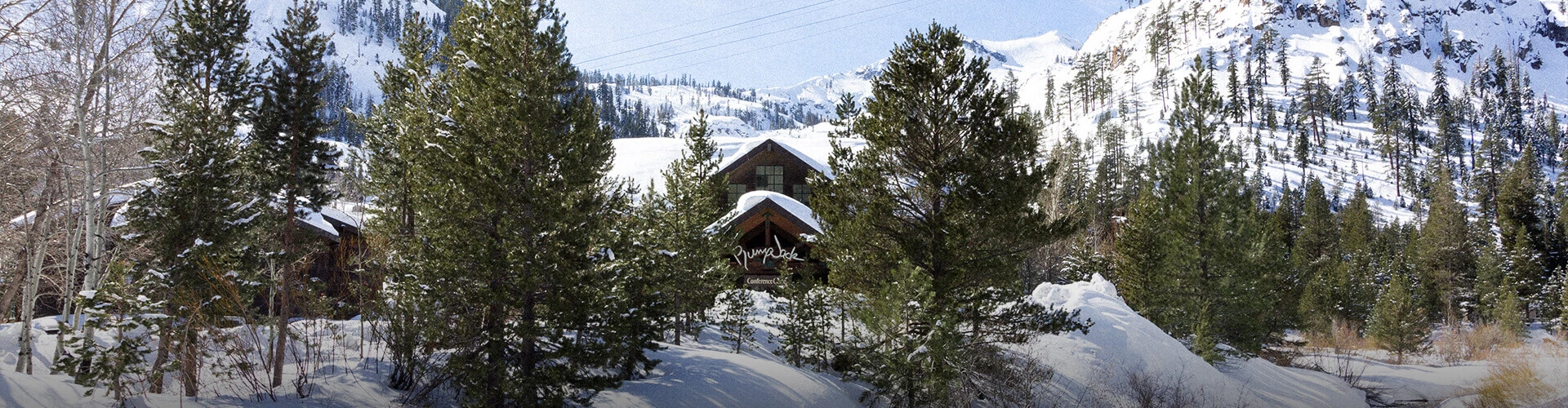 over-looking view of the Plumpjack inn entrance from a high angle