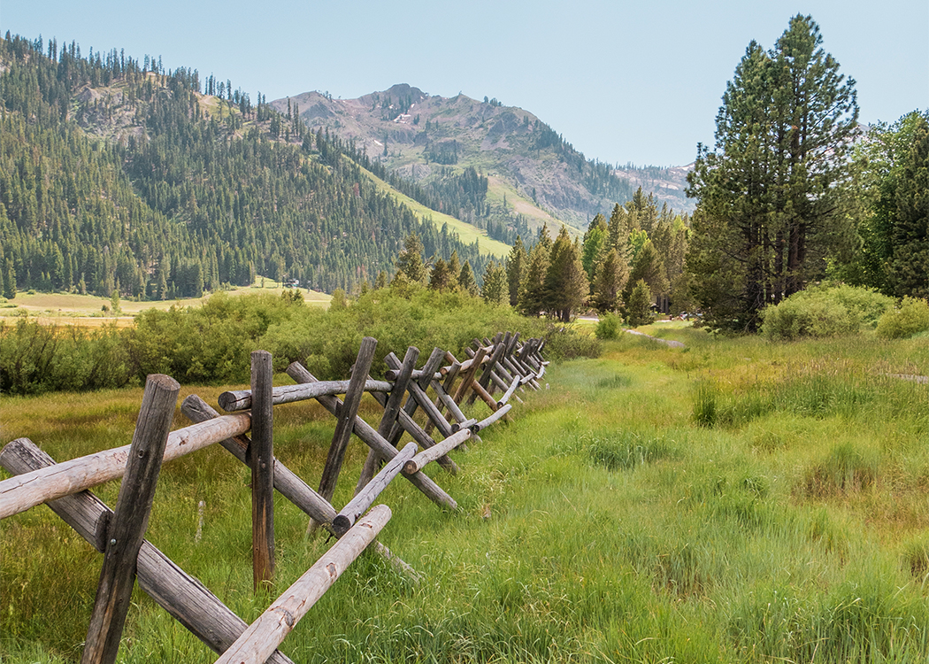 a wooden fence in a grassy field with trees and mountains in the background