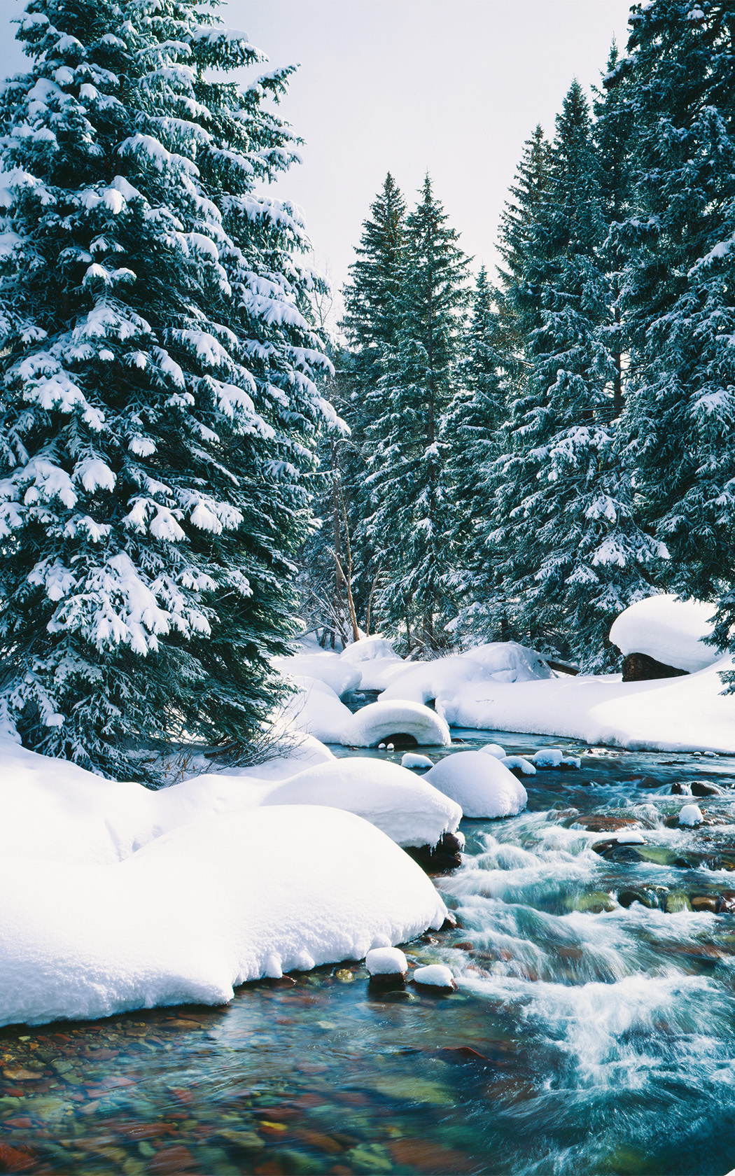 a river running through a snowy forest