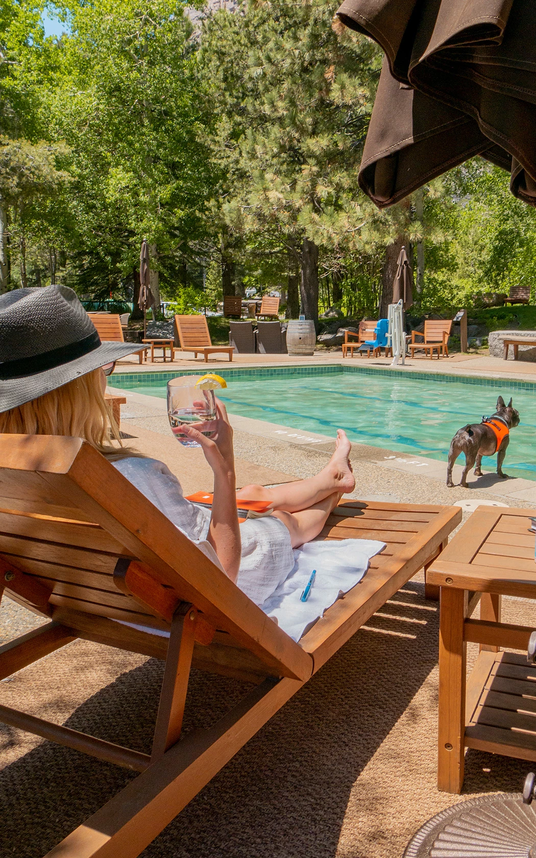 a woman sitting on a lounge chair by a pool with a dog