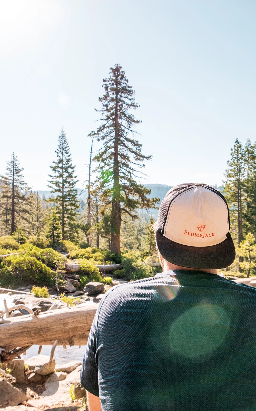 a man in a hat looking at trees