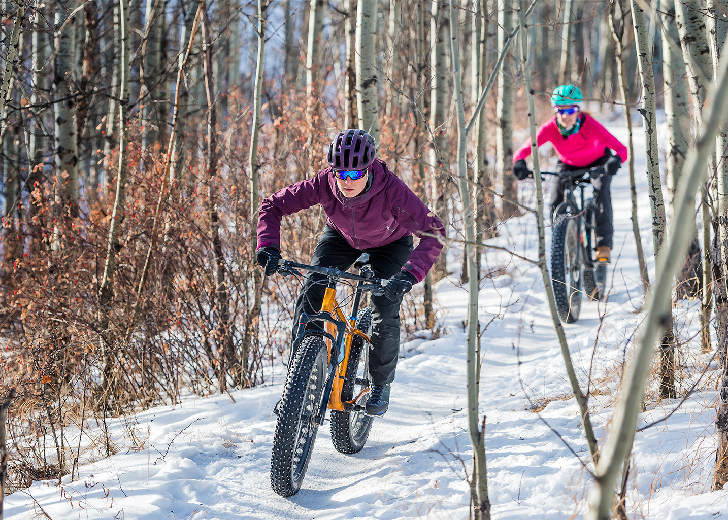 a group of people riding bikes in the snow
