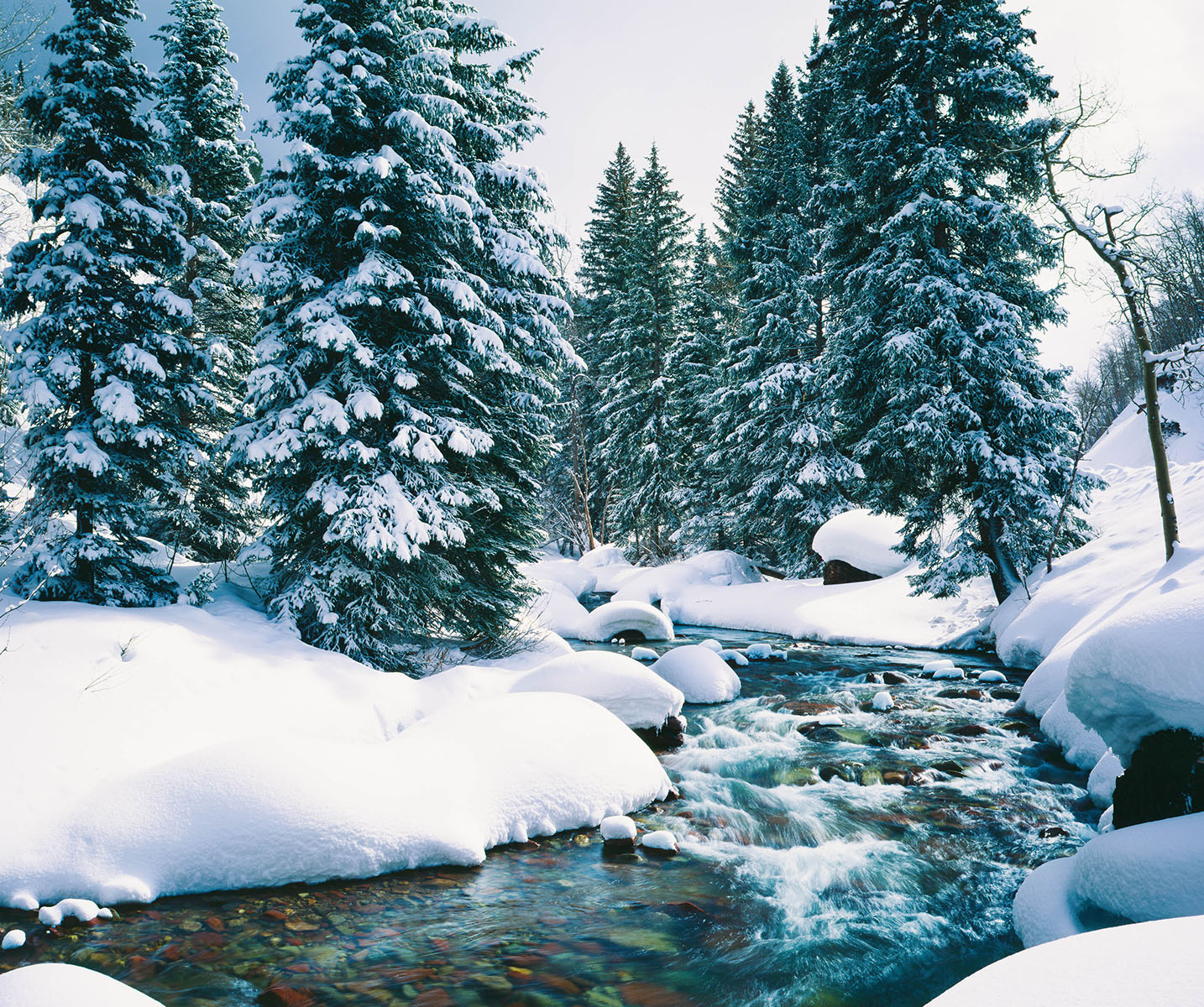 a river running through a snowy forest
