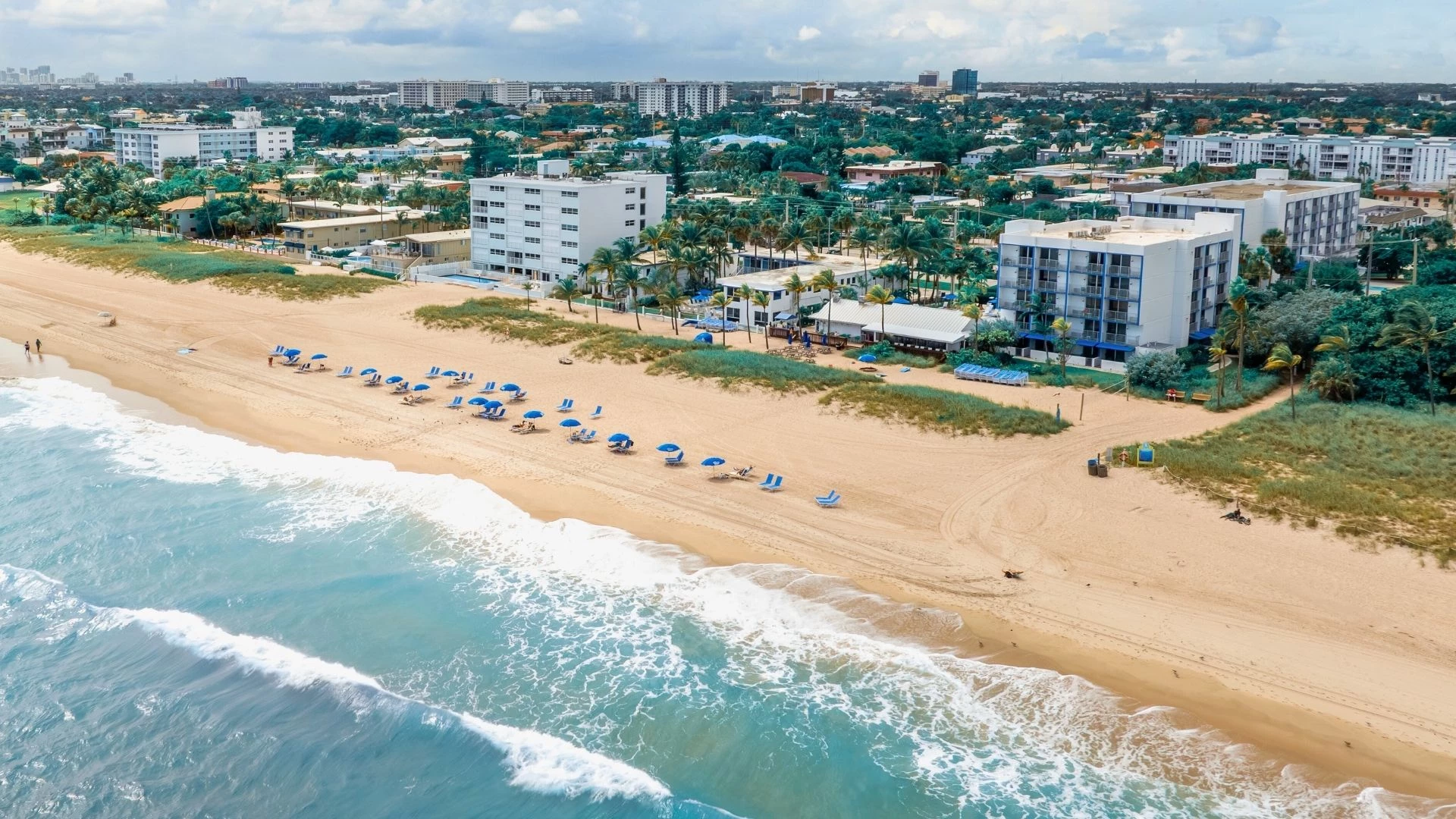 Aerial view of a beachfront resort with white buildings, palm trees, and blue lounge chairs.