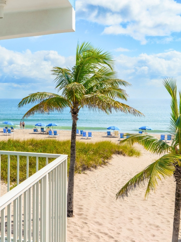 a beach with palm trees and blue umbrellas