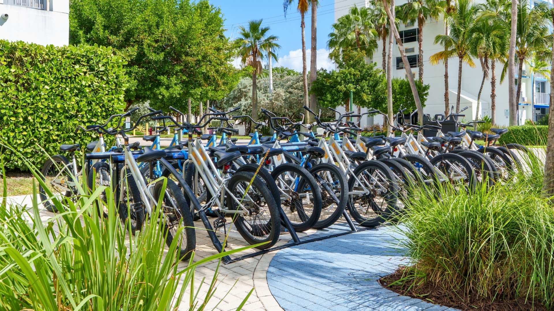 a group of bicycles parked in a parking lot