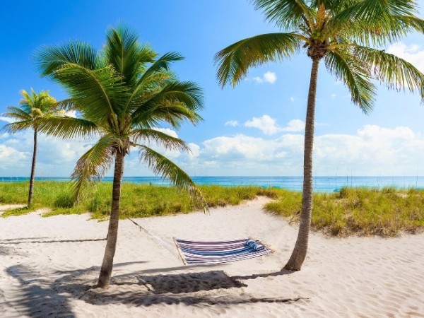 A hammock is set up between two palm trees on a sandy beach with a view of the ocean.