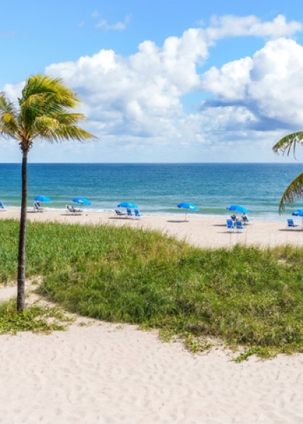 a beach with palm trees and chairs
