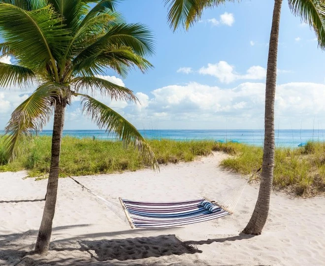 a hammock between palm trees on a beach