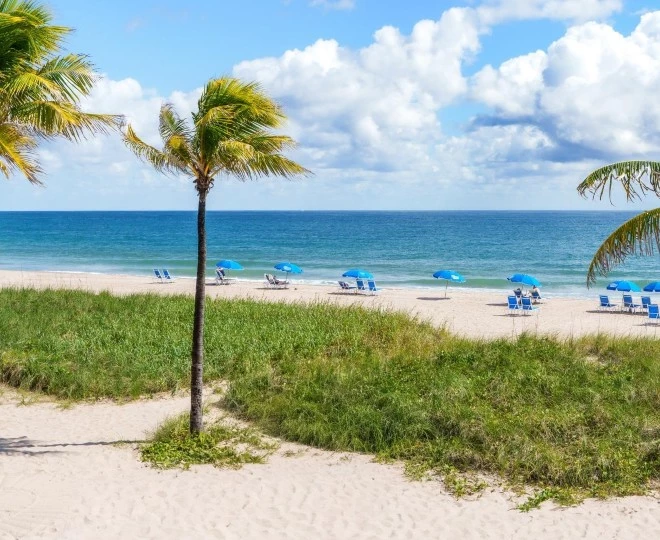 a beach with palm trees and umbrellas