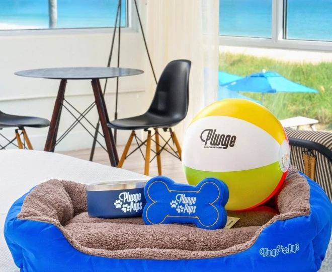 a dog bed with a ball and a dog bone